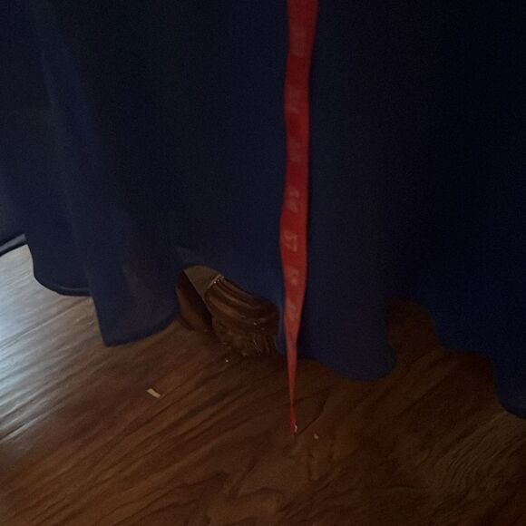 Betsy & Adam Blue Prom Gown Sz 8 VNeck Spaghetti Straps Tie Backless Pleated - Picture 15 of 15